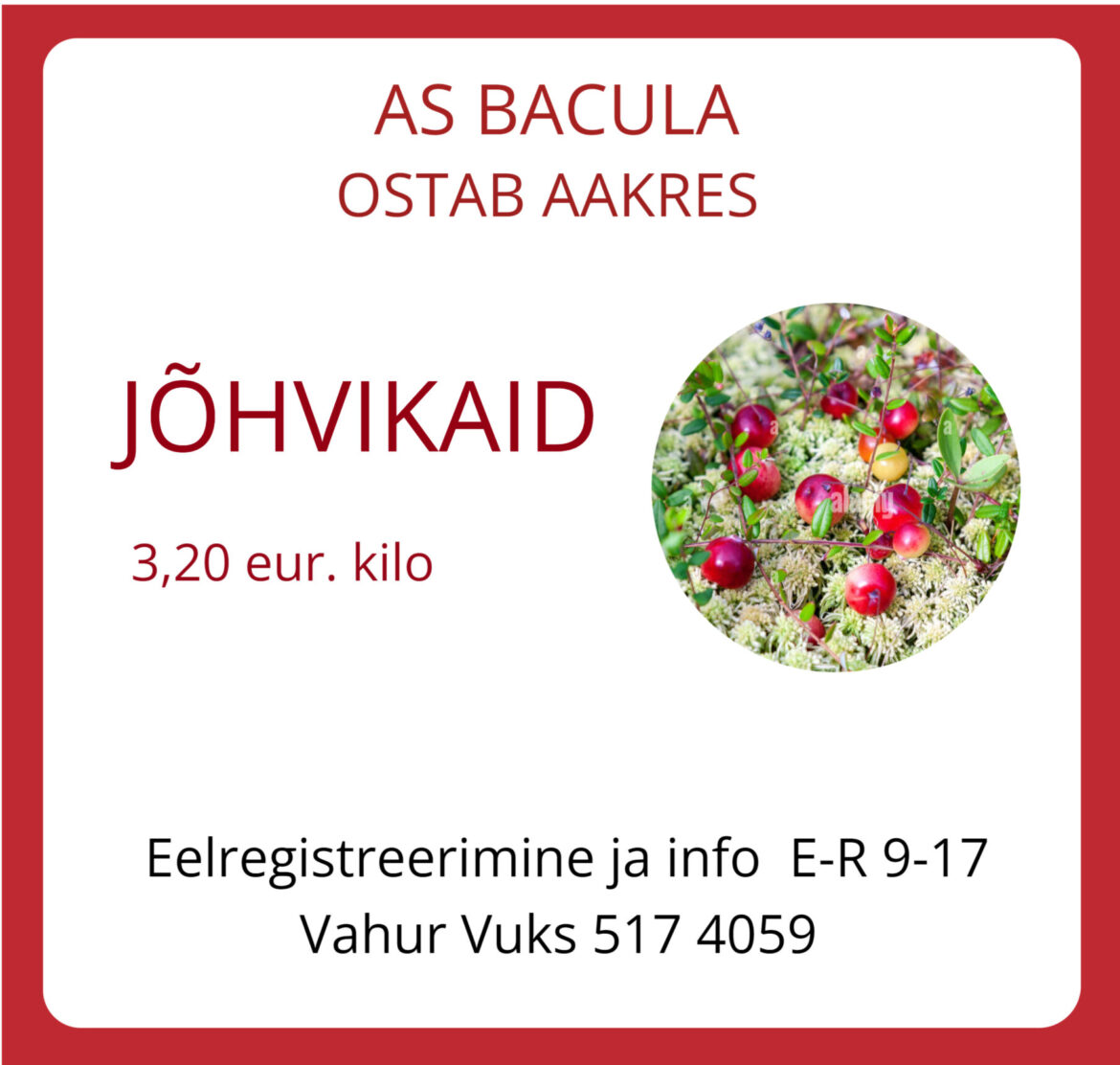 Ostame jõhvikaid